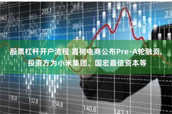 股票杠杆开户流程 嘉树电商公布Pre-A轮融资, 投资方