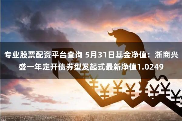 专业股票配资平台查询 5月31日基金净值：浙商兴盛一年定开债券型发起式最新净值1.0249