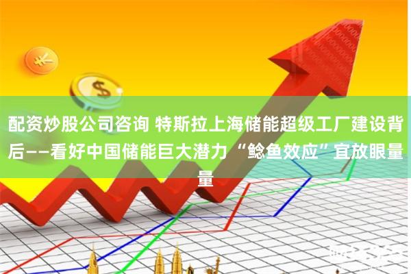 配资炒股公司咨询 特斯拉上海储能超级工厂建设背后——看好