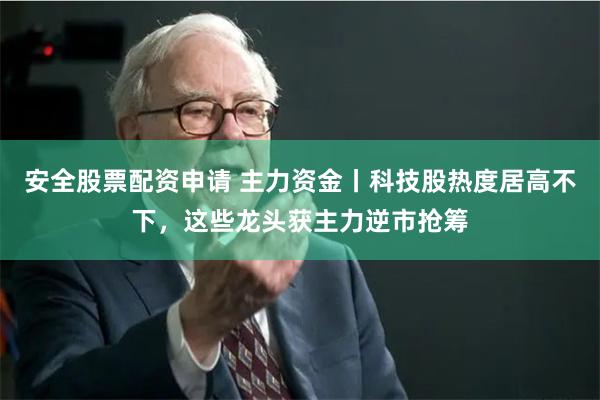 安全股票配资申请 主力资金丨科技股热度居高不下，这些龙头获主力逆市抢筹