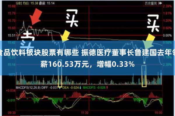 食品饮料板块股票有哪些 振德医疗董事长鲁建国去年领薪160.53万元，增幅0.33%