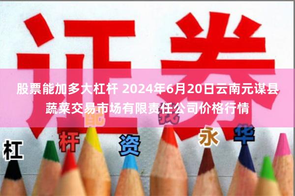 股票能加多大杠杆 2024年6月20日云南元谋县蔬菜交易市场有限责任公司价格行情