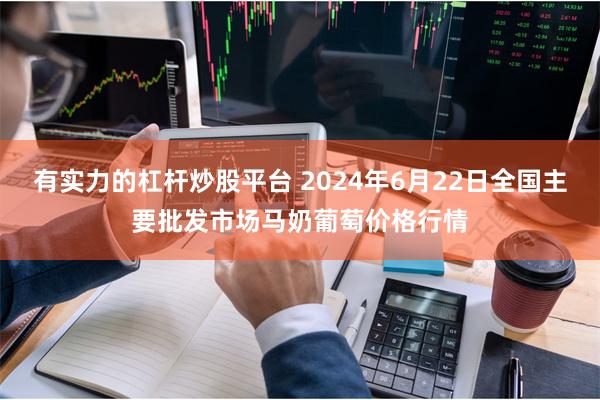 有实力的杠杆炒股平台 2024年6月22日全国主要批发市场马奶葡萄价格行情