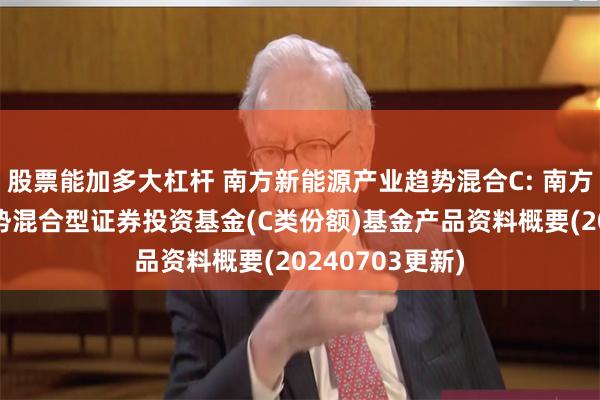 股票能加多大杠杆 南方新能源产业趋势混合C: 南方新能源产业趋势混合型证券投资基金(C类份额)基金产品资料概要(20240703更新)