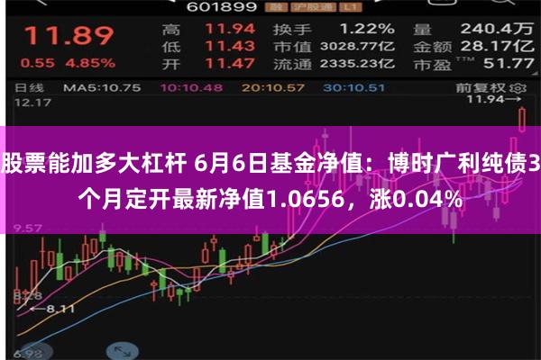 股票能加多大杠杆 6月6日基金净值：博时广利纯债3个月定开最新净值1.0656，涨0.04%