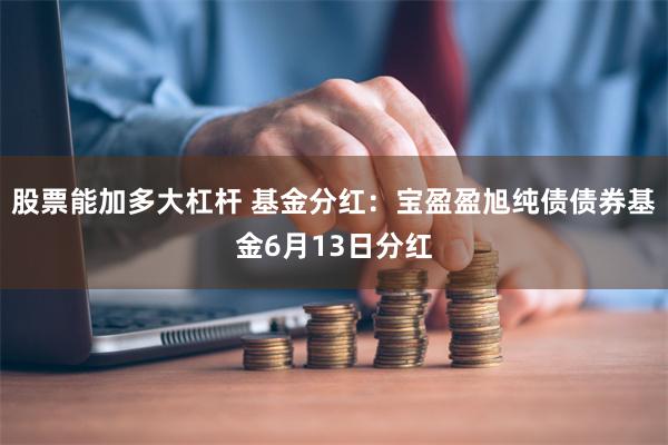 股票能加多大杠杆 基金分红：宝盈盈旭纯债债券基金6月13日分