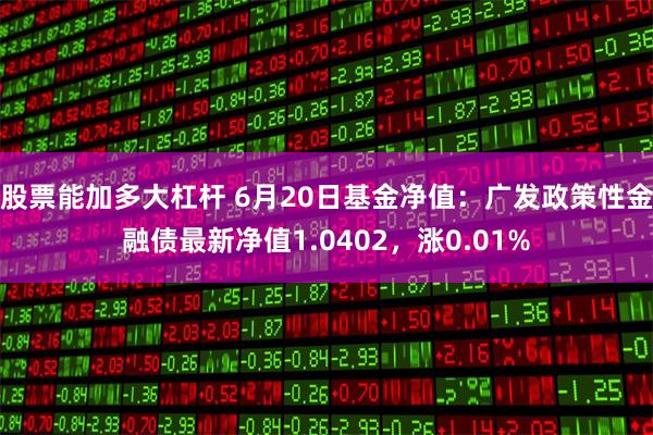 股票能加多大杠杆 6月20日基金净值：广发政策性金融债最新净值1.0402，涨0.01%