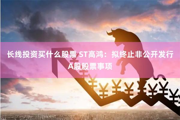 长线投资买什么股票 ST高鸿：拟终止非公开发行A股股票事项