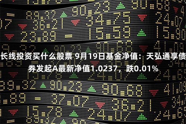 长线投资买什么股票 9月19日基金净值：天弘通享债券发起A最