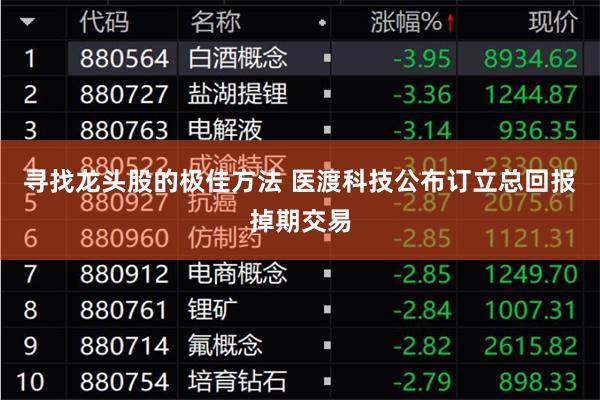 寻找龙头股的极佳方法 医渡科技公布订立总回报掉期交易