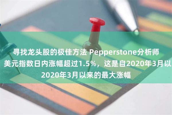 寻找龙头股的极佳方法 Pepperstone分析师迈克尔·布朗：美元指数日内涨幅超过1.5%，这是自2020年3月以来的最大涨幅