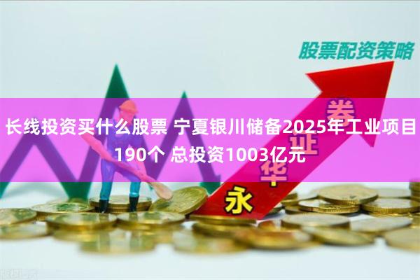 长线投资买什么股票 宁夏银川储备2025年工业项目190个 总投资1003亿元